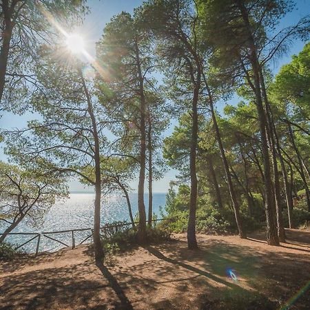 Squirrel Beach Front Villa, Metamorfosi מראה חיצוני תמונה