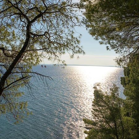 Squirrel Beach Front Villa, Metamorfosi מראה חיצוני תמונה