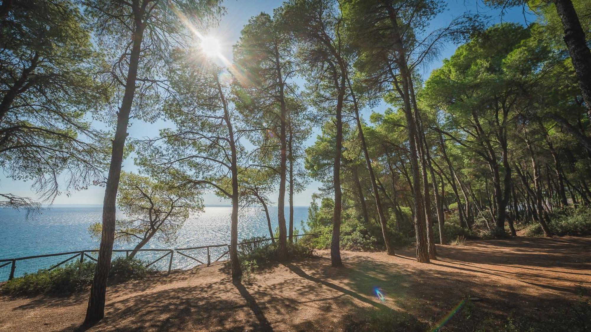 Squirrel Beach Front Villa, Metamorfosi מראה חיצוני תמונה
