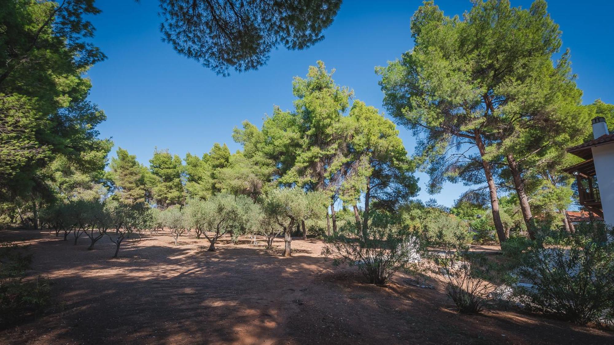 Squirrel Beach Front Villa, Metamorfosi מראה חיצוני תמונה
