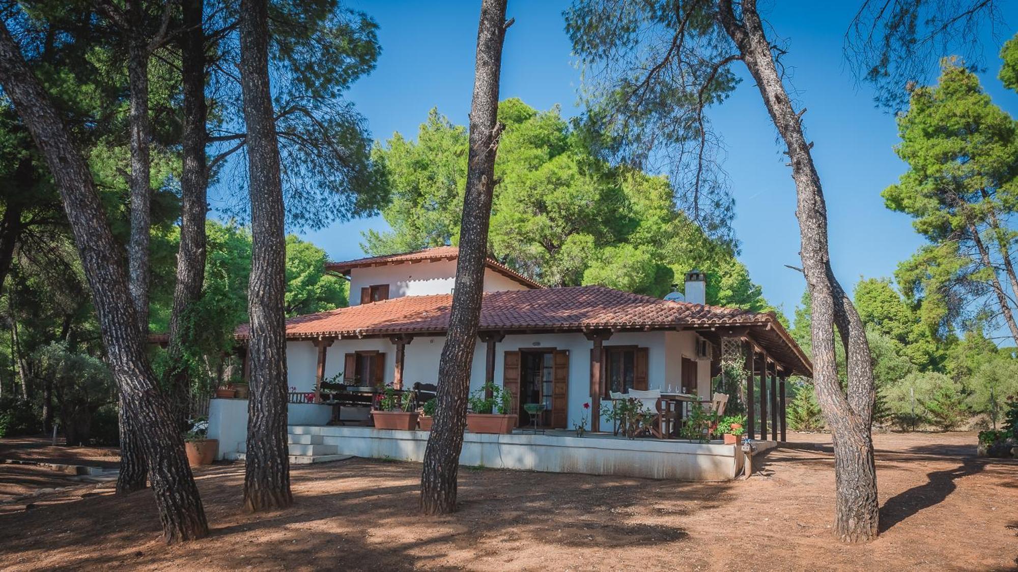 Squirrel Beach Front Villa, Metamorfosi מראה חיצוני תמונה