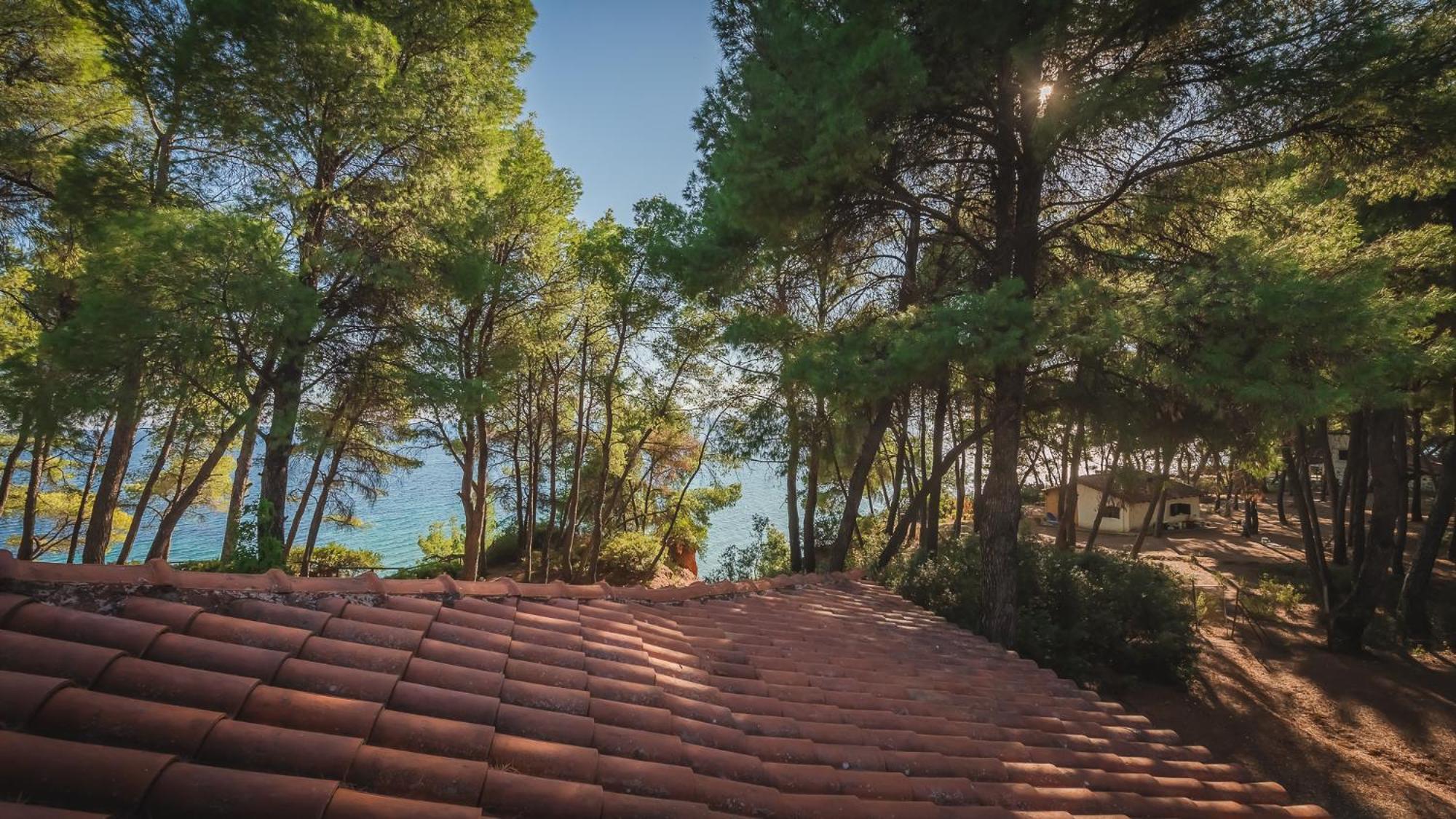 Squirrel Beach Front Villa, Metamorfosi מראה חיצוני תמונה